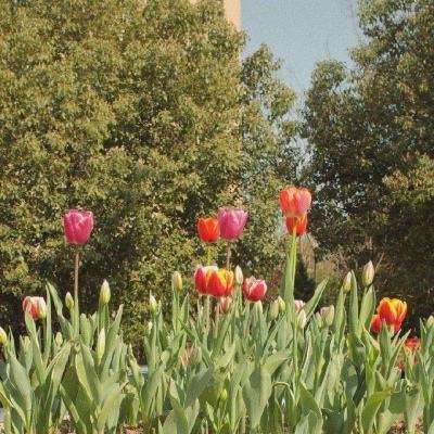 im电竞官方app下载