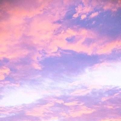 im电竞官方app下载