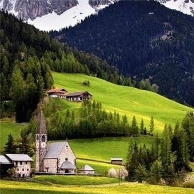 波胆app官网下载手机版